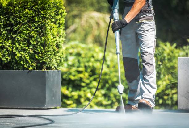 Best Gutter Cleaning  in Henryville, IN