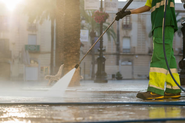 Best Driveway Pressure Washing  in Henryville, IN